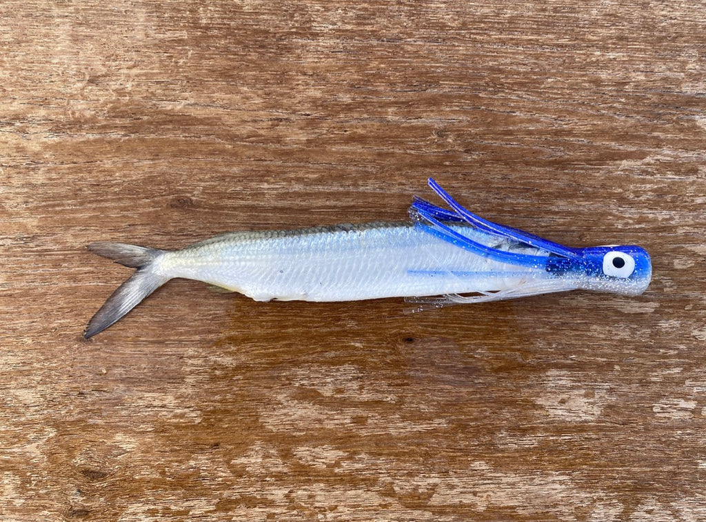 Fish Down Sea Chuggers