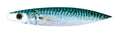 11” Printed Dredge Bait